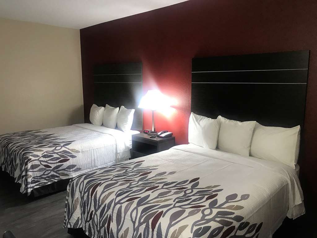Red Roof Inn & Suites Austin East - Manor Room photo