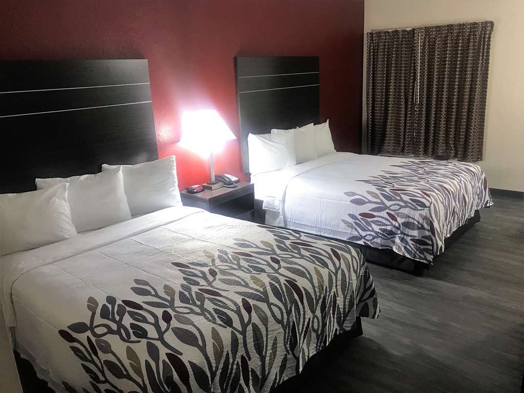 Red Roof Inn & Suites Austin East - Manor Room photo